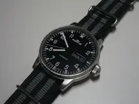 Fortis NATO.webp