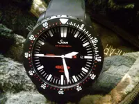 sinn 2.webp