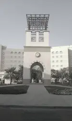 n1.webp