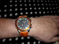 P1080774-800.webp