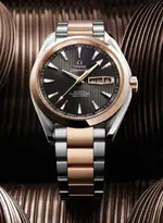 omega_seamaster_aquaterra_annual_calendar1.webp