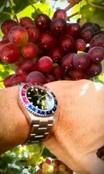 IMAG1617-1.webp