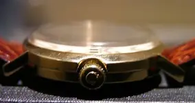 DSCN0698.webp