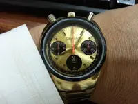 Citizen.webp