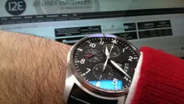 IMAG0496.webp