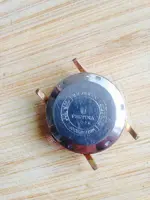 Festina 2.webp