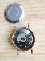 Festina 3.webp