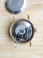 Festina 4.webp