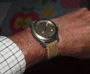 PA061745.webp