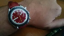 IMAG1256.webp