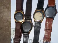 101_0564.webp