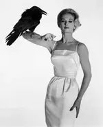 TIPPI HEDREN.webp
