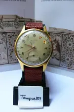 L1050404.webp L1050404.webp
