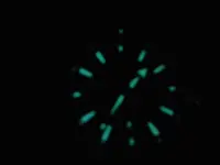 20140921_013706.webp
