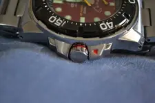 DSC_0418 (Copy).webp