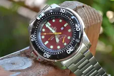 DSC_0426 (Copy).webp