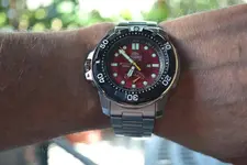 DSC_0406 (Copy).webp