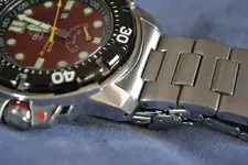 DSC_0419 (Copy).webp