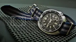 P1070807.webp