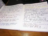 P1010040.webp