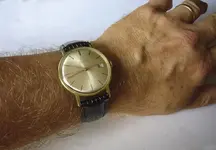 20140922_0197.webp 20140922_0197.webp