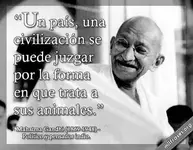 mahatma-gandhi2-frases.webp