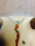 GetAttachment (21).webp GetAttachment (21).webp