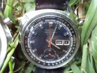 cro15.webp