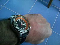 IMG_20141114_131835.webp