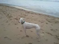 2012-12-15 15.50.30.webp