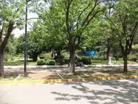016.webp