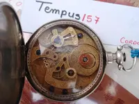 Duplex chino Tempus.webp