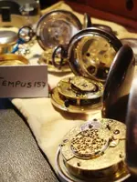 3.cata_Tempus157..webp 3.cata_Tempus157..webp