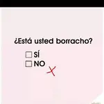 borracho.webp