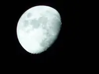 P1110221.webp