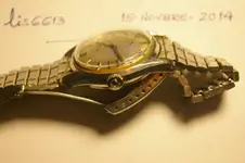 IMGP5799.webp