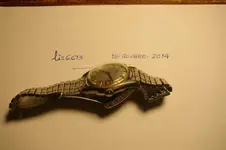 IMGP5798.webp