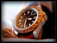 P4091811.webp