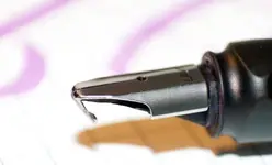 hawk nib.webp