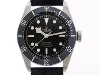 tudor BB.webp