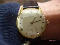 P1020599.webp
