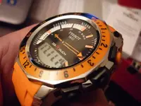 P1010994.webp