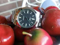 Parnis Milgaus2.webp