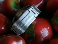 Parnis Milgaus5.webp