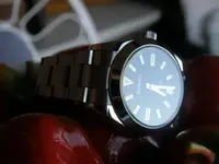 Parnis Milgaus3.webp