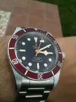 Tudor_BB.webp Tudor_BB.webp