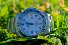 _DSC0422.webp