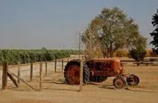 tractor rojo.webp