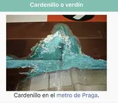 CF1D8220-AF6D-4F77-B562-8C1DB3CB5203.webp