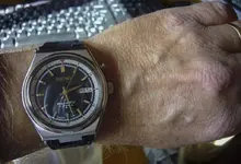 seiko grillo.webp